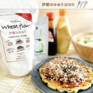ふるさと納税 【 業務用 】 伊都 の かおり...の詳細画像3