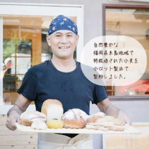 ふるさと納税 【 業務用 】 伊都 の みのり...の詳細画像1