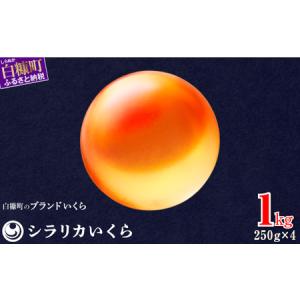 ふるさと納税 ＼高評価 4.9／白糠町のブランドいくら シラリカいくら (生いくら) 1kg ( 250g × 4 )_K061-0920-60DAYS 北海道白糠町