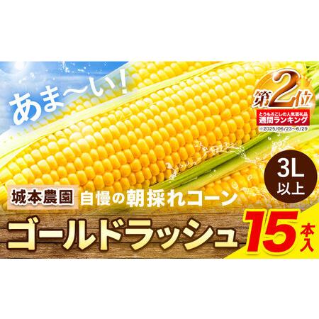 ふるさと納税 とうもろこし 15本 とうもろこし|城本農園 熊本県産山村