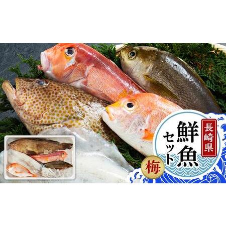ふるさと納税 長崎鮮魚セット（梅） 長崎県