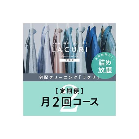 ふるさと納税 【定期便】クリーニング 詰め放題　月2回コース 1年分（24回利用分）｜最短４日仕上げ...
