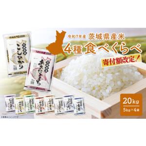 ふるさと納税 米 コシヒカリ 新潟県 燕市 令和7年産・コシヒカリ 南波