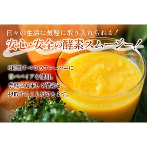ふるさと納税 「定期便12か月コース」南国酵素...の詳細画像1