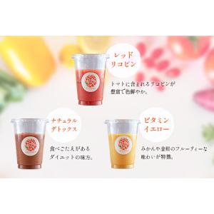 ふるさと納税 「定期便12か月コース」南国酵素...の詳細画像3