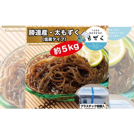 ふるさと納税 【嘉保水産】勝連産・太もずく（塩蔵タイプ）約5kg　プラスチック容器入り 沖縄県うるま...