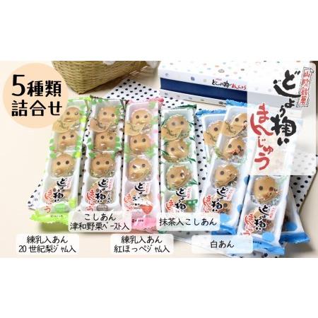 ふるさと納税 どじょう掬いまんじゅう5種類セット【饅頭 ひょっとこ おやつ 和菓子 餡子 白餡 こし...