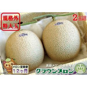 ふるさと納税 【12ヶ月定期便】クラウンメロン　規格外特大玉（約1.7kg）2玉入 果物類 メロン青肉 静岡県袋井市