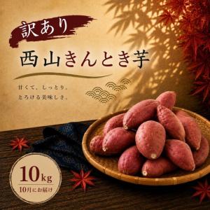 恋するマロン 10kg (5〜7玉)×1箱 北海道産 南瓜 出荷時期：9〜10月