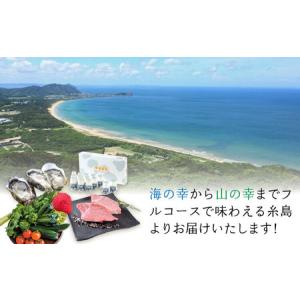 ふるさと納税 【 糸島 コンシェルジュ 】 返...の詳細画像1