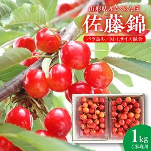 ふるさと納税 さくらんぼ（佐藤錦）１ｋｇ　ご家庭用　0020-2301
