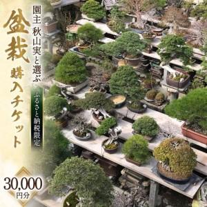 ふるさと納税 ふるさと納税限定 園主 秋山実と選ぶ 盆栽購入チケット 30,000円分 [秋山園 山梨県 韮崎市 20740911] 山梨県韮崎市
