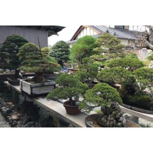 ふるさと納税 ふるさと納税限定 園主 秋山実と...の詳細画像2