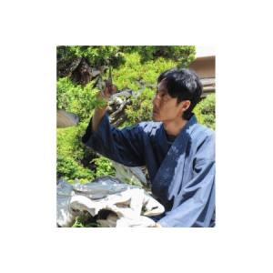 ふるさと納税 ふるさと納税限定 園主 秋山実と...の詳細画像4