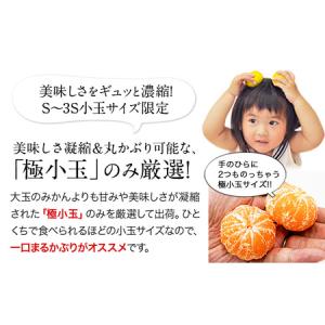 ふるさと納税 訳あり ひとくちもぎたてみかん ...の詳細画像1