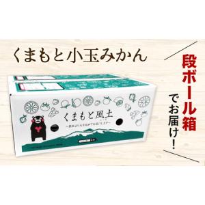 ふるさと納税 訳あり ひとくちもぎたてみかん ...の詳細画像3
