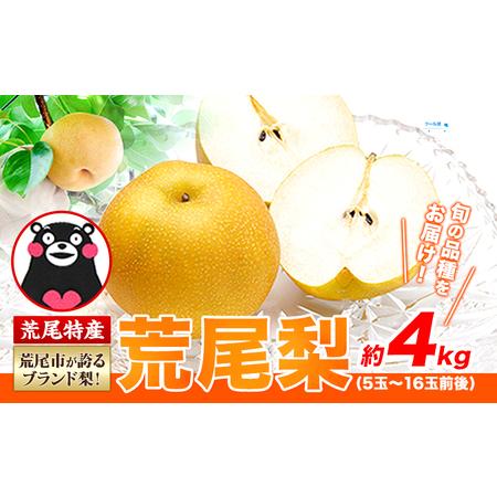 ふるさと納税 梨 先行予約 荒尾梨 約4kg なし 新鮮《2024年8月下旬‐11月中旬頃出荷》 幸...