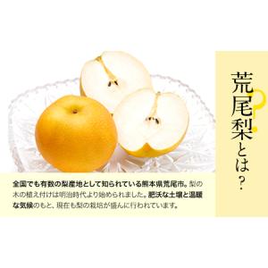 ふるさと納税 梨 荒尾梨 約4kg フルーツ ...の詳細画像1