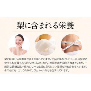 ふるさと納税 梨 荒尾梨 約4kg フルーツ ...の詳細画像2