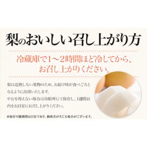 ふるさと納税 梨 荒尾梨 約4kg フルーツ ...の詳細画像3