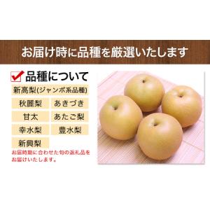 ふるさと納税 梨 荒尾梨 約4kg フルーツ ...の詳細画像4