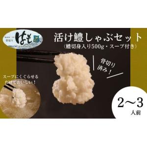 ふるさと納税 ハモ 鱧 しゃぶしゃぶ 500g 鍋セット 切...