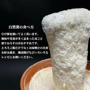 ふるさと納税 那須町産 自然薯 2kg 化粧箱...の詳細画像1