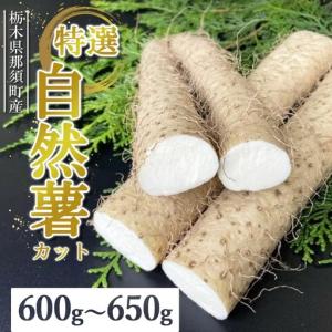 ふるさと納税 那須町産 自然薯（カット）600g〜650g | とろろ〔P-151〕 ※2026年12月〜発送 栃木県那須町