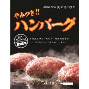 ふるさと納税 やみつきハンバーグ（6個入） 合挽肉 国産 真空包装 冷凍 那須町 〔P-58〕 栃木...