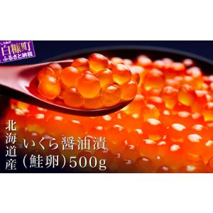 ふるさと納税 ＼高評価 4.9／ シラリカいくら（醤油味） 500g ( 250g × 2 )_K029-1036-60DAYS 北海道白糠町