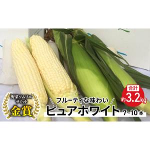 ふるさと納税 【先行受付2026年発送】野菜ソム...の商品画像