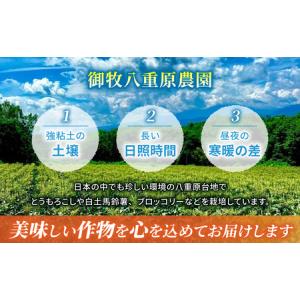 ふるさと納税 【先行受付2026年発送】野菜ソ...の詳細画像2