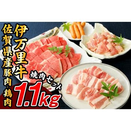 ふるさと納税 バラエティ美味 焼肉セット 牛肉 豚肉 鶏肉 1.1kg 006-J1852 佐賀県伊...