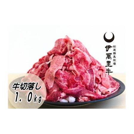 ふるさと納税 伊万里牛切り落とし  1kg （500g×2） 小分け J715 佐賀県伊万里市