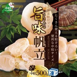 ふるさと納税 北海道 野付産 冷凍ホタテ 貝柱 中粒ホタテ 500g 北海道 野付 別海町 北海道別海町