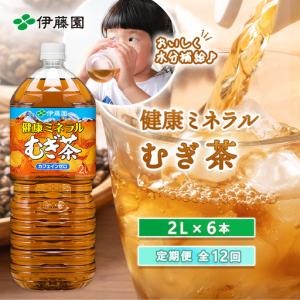 ふるさと納税 『定期便：全12回』健康ミネラルむぎ茶2L×6本【50001501】 北海道恵庭市