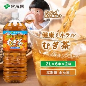 ふるさと納税 『定期便：全6回』健康ミネラル麦茶2L×6本×2箱【50000601】 北海道恵庭市