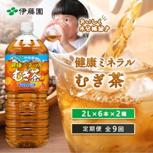 ふるさと納税 『定期便：全9回』健康ミネラル麦茶2L×6本×2箱【50002101】 北海道恵庭市