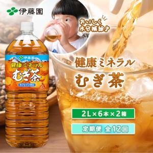 ふるさと納税 『定期便：全12回』健康ミネラル麦茶2L×6本×2箱【50002401】 北海道恵庭市