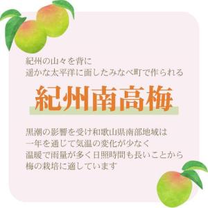 ふるさと納税 訳あり つぶれ梅干し はちみつ漬...の詳細画像1