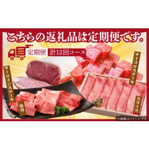 ふるさと納税 【全12回定期便】佐賀牛ロース尽...の詳細画像1