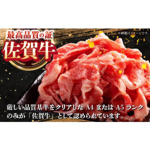 ふるさと納税 【全12回定期便】佐賀牛ロース尽...の詳細画像4