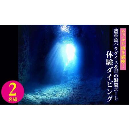 ふるさと納税 たっぷり海を満喫！熱帯魚パラダイス＆青の洞窟ボート体験ダイビング2名様 沖縄県恩納村