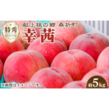 ふるさと納税 No.142 もも（幸茜）　特秀5kg　桑折町産　JAふくしま未来　桃 福島県桑折町