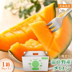 ふるさと納税 富良野市 【2027年発送】美味!秋の富良野メロン(レッド