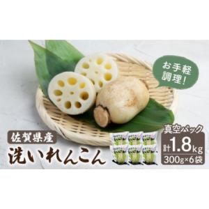 ふるさと納税 洗い れんこん 真空パック入り 300g×6袋（計1.8kg）[ICC003]