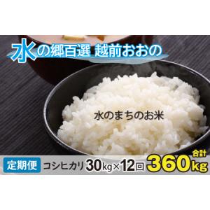 ふるさと納税 【令和7年産】【12ヶ月定期便】こ...の商品画像