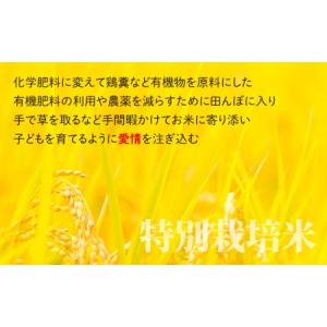 ふるさと納税 【令和7年産】【12ヶ月定期便】...の詳細画像3