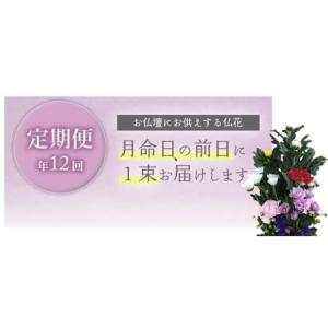 ふるさと納税 SBT0011 《定期便 12ヵ...の詳細画像1