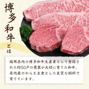 ふるさと納税 【全6回定期便】【極厚ステーキ】...の詳細画像3